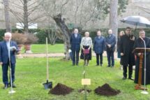 Plantada uma macieira no Vaticano em homenagem aos mártires Ulma