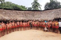 Garimpo e barbárie: uma história de genocídio e de luta dos Yanomami