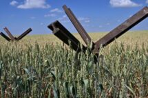 Ucrânia, de campos de trigo a campos minados: “Vivemos um dia após o outro”