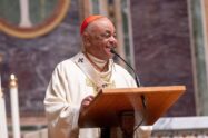 Cardeal Gregory: Dignitas infinita é um documento equilibrado e inspirador