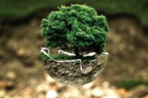 Criada na Ásia a “Rede franciscana para a paz e a ecologia integral”