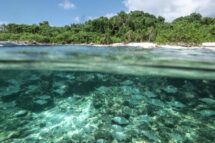 Santa Sé defende cancelamento da dívida de pequenos Estados insulares