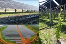 O Vaticano se equipará com um sistema agrovoltaico para autonomia energética