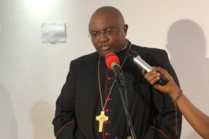 Angola. Diocese de Cabinda em defesa da segunda maior floresta do mundo