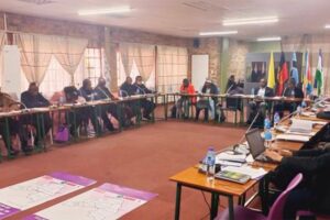 Bispos recém-ordenados gratos pelo seminário sobre aconselhamento psicoespiritual