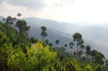 “Peregrinos da Esperança”. Em Gana, campanha de religiosos pela proteção ambiental