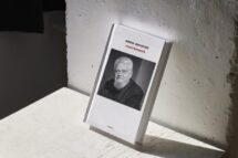 Francisco: a falta de fraternidade no mundo é que causa sofrimento