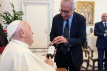 Papa Francisco: do plantio da uva pode iniciar um caminho à conversão ecológica