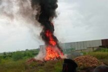 Guiné-Bissau incinera toneladas de cocaína em operação conjunta com a Interpol