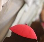 Conversa no Espírito: agentes oferecem contribuições à Assembleia Eclesial