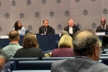 Assembleia Sinodal: “Todos se reconhecem, ninguém quer impor sua visão”