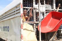 Haiti. Bispos sobre deportações da República Dominicana: a vida é sagrada e inviolável