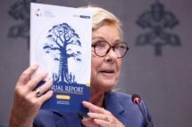 Buquicchio: iniciado o método que esperamos elimine o flagelo dos abusos