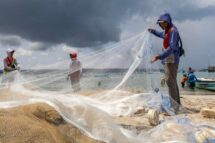 Pesca, Czerny: proteger o setor contra o desenvolvimento predatório