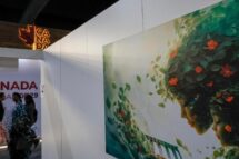 Cop29: diferenças sobre compromissos financeiros, coragem de Barbados