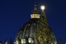 Começam as preparações do Natal no Vaticano com a chegada do pinheiro na Praça São Pedro