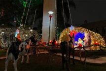 Curitiba: Presépio gigante no Santuário do Perpétuo Socorro