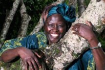 Wangari Maathai – O ativismo ambiental em pessoa