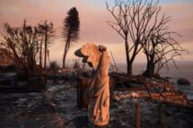 Papa reza pelas vítimas dos incêndios em Los Angeles