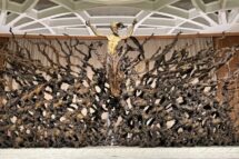 “Comunicar a esperança. Outra informação é possível”, uma exposição no Vaticano