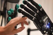 IA, uma ferramenta que não substitui a riqueza humana