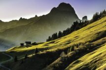 A beleza das coisas criadas por Deus em Santo Atanásio e a Campanha da Fraternidade 2025
