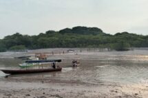 Desafios urgentes: combater o desmatamento na Amazônia