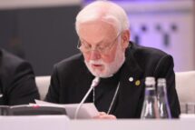 Gallagher: é necessária ação corajosa para desarmamento equilibrado e completo