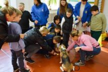 Ucrânia: crianças procuram superar traumas de guerra com ajuda de cães