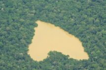 A Amazônia no coração do Papa: 12 marcos do seu pontificado