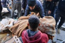 Bombardeios em Gaza, Hamas denuncia: 970 mortos