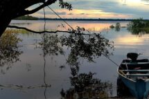 Pré-COP Norte encerra com alertas e propostas aos chefes de Estados para a COP30