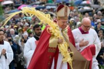 Papa no Domingo de Ramos: carregar a cruz de Cristo, como Simão, nunca é em vão