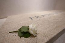 A rosa branca sobre o mármore do túmulo, símbolo de Teresa que o “ouviu”