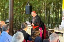Cardeal Parolin: pesar e tristeza pela Ucrânia, desconfiança entre as partes