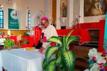 Dom Inácio Saúre apresenta igrejas jubilares na Vigília de Pentecostes
