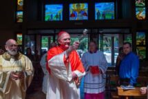 África do Sul: Cardeal Brislin celebra Pentecostes com católicos do Zimbábue em Joanesburgo