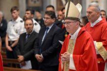 Cardeal Parolin: enraizados no amor do Senhor, como Pedro e Paulo