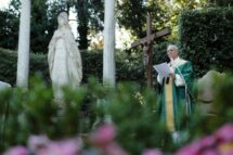 Papa: rezemos pela conversão de quem ignora o cuidado com a casa comum