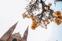 Arquidiocese de Curitiba será a sede do 7º Congresso Americano Missionário (CAM7)