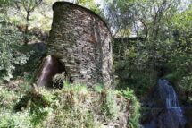 Lusofonias. Proteger a Criação, num mundo a arder …