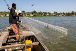 Regiões setentrionais da Nigéria sofrem de insegurança alimentar