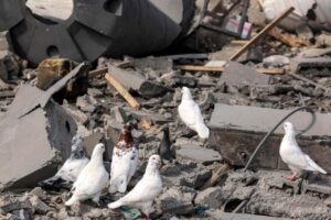 Após 7 horas detido,  Pe. Capovilla, da Pax Christi, é expulso de Israel