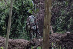 RD Congo, massacres no norte de Kivu e impasse nas negociações em Doha