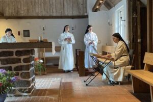 A busca do sentido da vida em convento na Suécia: “desejam o silêncio”, afirma religiosa