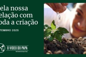 Papa: descobrir a presença de Deus na criação para sermos responsáveis em protegê-la