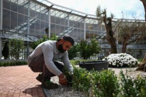 Transmissão em direto da inauguração do Borgo Laudato Si