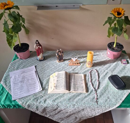 A Pastoral da Criança na Arquidiocese de Sorocaba: um trabalho de 36 anos em prol da vida