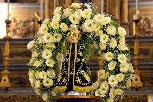 Aparecida: Um grande sinal apareceu no céu