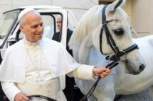 Um polonês presenteou o Papa com um cavalo árabe